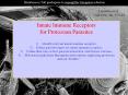 Apresenta PowerPoint PPT Presentation
