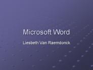 Microsoft Word