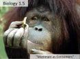 Biology 1.5 PowerPoint PPT Presentation