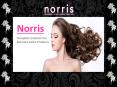 Norris: The Trusted Online Store For All Purpose of Salon Needs PowerPoint PPT Presentation