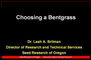 Choosing%20a%20Bentgrass