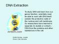 DNA Extraction PowerPoint PPT Presentation