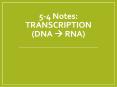 5-4 Notes: TRANSCRIPTION (DNA ? RNA) PowerPoint PPT Presentation