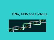 DNA, RNA and Proteins