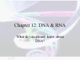 Chapter 12: DNA PowerPoint PPT Presentation