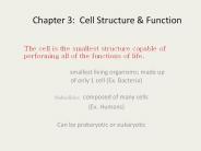Chapter%203:%20Cell%20Structure%20