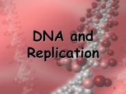 DNA%20and%20Replication