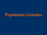Population Genetics