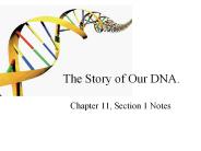 The Story of Our DNA.