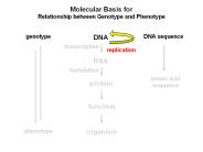 Molecular Basis for