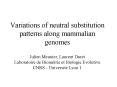 Variations of neutral substitution patterns along mammalian genomes Julien Meunier, Laurent Duret Laboratoire de Biom PowerPoint PPT Presentation