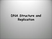 DNA%20Structure%20and%20Replication
