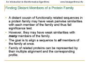 Finding Distant Members of a Protein Family