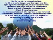 28 Tiempo Ordinario -B-