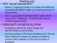 Reading quiz