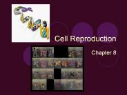 Cell Reproduction
