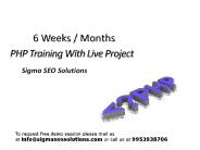 6 weeks summer training on php  java  dot.net