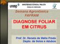 Prof. Dr. Renato de Mello Prado Depto. de Solos e Adubos PowerPoint PPT Presentation