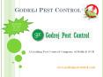 Get Herbal pest control in Noida |Godrej Pest Control
