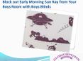 Block out Early Morning Sun Ray from Your Boys Room with Boys Blinds PowerPoint PPT Presentation