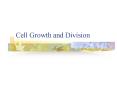 Cell Growth and Division PowerPoint PPT Presentation