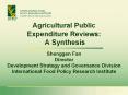 Agricultural Public Expenditure Reviews: A Synthesis PowerPoint PPT Presentation