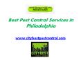 Professional Pest Control Services in Philadelphia - www.citybestpestcontrol.com PowerPoint PPT Presentation
