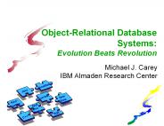 Object-Relational Database Systems:
