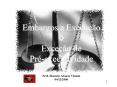Embargos a Execu PowerPoint PPT Presentation