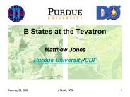 B States at the Tevatron