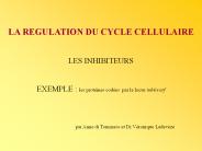 Aucun titre de diapositive
