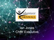 Ian Jones Chief Executive