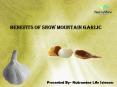 Benefits of Snow Mountain Garlic PowerPoint PPT Presentation