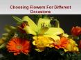 Choosing Flowers For Different Occasions PowerPoint PPT Presentation