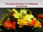 Choosing Flowers For Different Occasions