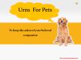 Varieties of Urns for Pets PowerPoint PPT Presentation
