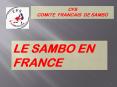 CFS COMITE FRANCAIS DE SAMBO PowerPoint PPT Presentation