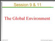 The Global Environment