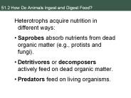 51.2 How Do Animals Ingest and Digest Food?