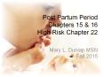 Post Partum Period Chapters 15 PowerPoint PPT Presentation
