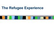 The Refugee Experience