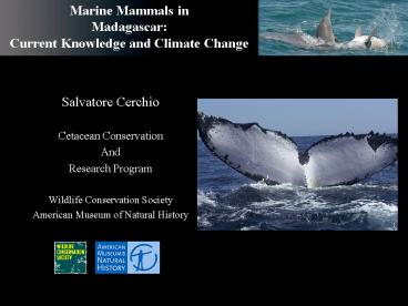 Marine Mammals in Madagascar: Current Knowledge and Climate Change