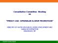 Consultative Committee Meeting on   PowerPoint PPT Presentation
