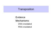 Transposition