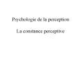 Psychologie de la perception La constance perceptive PowerPoint PPT Presentation