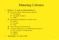 Maturing Colonies PowerPoint PPT Presentation