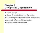 Chapter%206%20Groups%20and%20Organizations