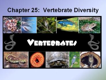 Chapter 25: Vertebrate Diversity