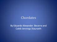 Chordates