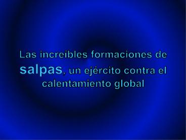 Quiero regalarte un momento de paz...